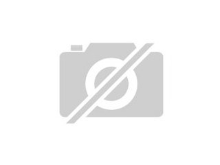 Notfall Holly sucht ihre Menschen